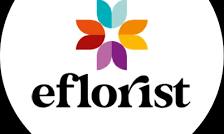 eFlorist logo