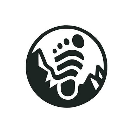 peak foot wear logo
